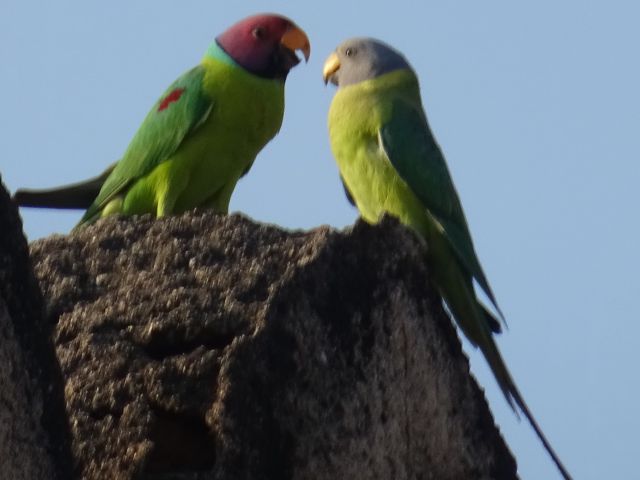 Hampi
